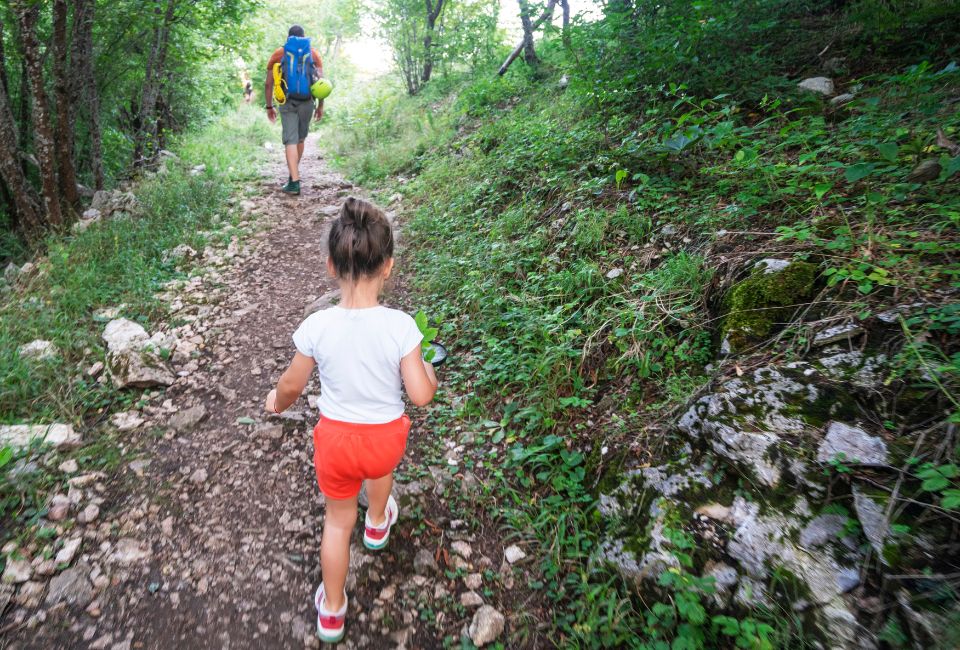 There are both woodland and paved trails at the Morton Arboretum. Photo courtesy of Canva