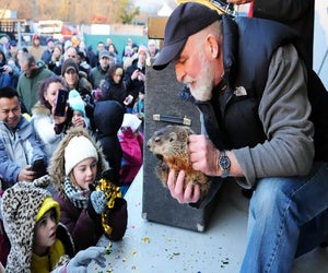 Wake up early Saturday to witness Holtsville Hal's winter prediction on Groundhog Day. Photo courtesy of HoltsvilleHal.org