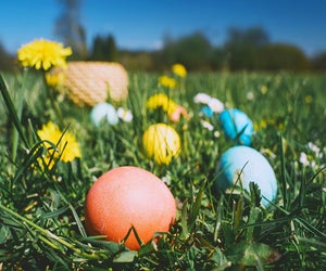 These Easter egg hunts are some of the best in Houston. Photo courtesy of Canva