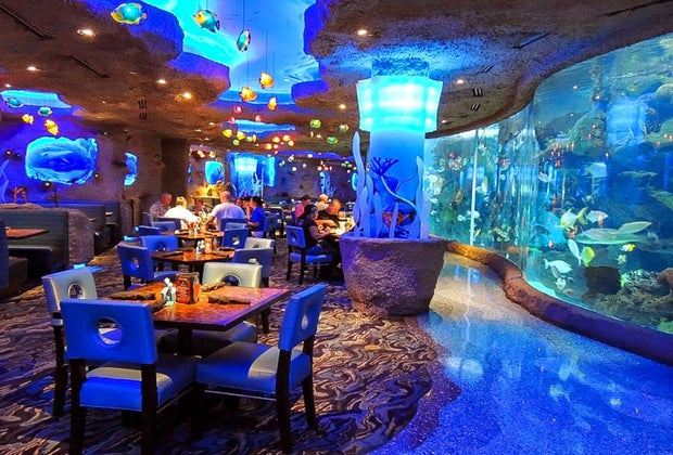 Family-Friendly Themed Houston Restaurants The Aquarium