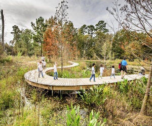 Check out one of Houston's amazing hiking trails this long weekend. Photo courtesy of the Houston Arboretum 