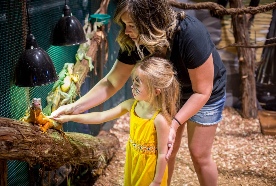 Hands-on animal fun at the upcoming Houston Aquarium and Animal Adventure.