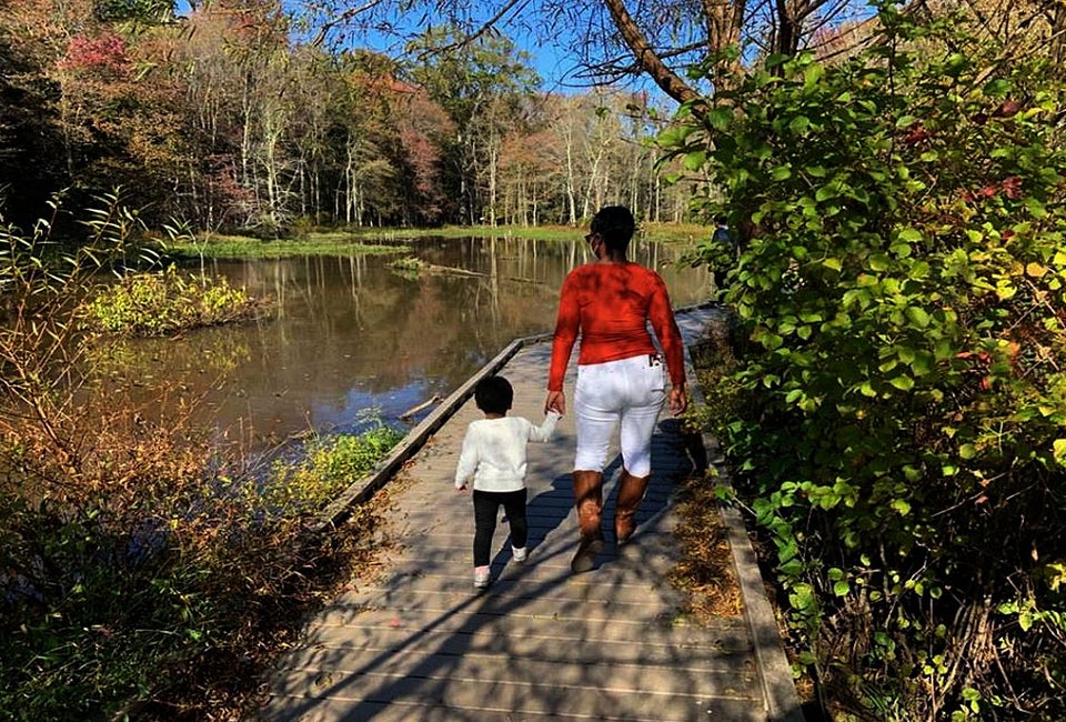 Enjoy the protected wetland habitat at Huntley Meadows Park. Photo by Monica M.