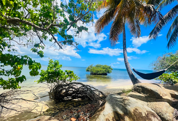 Embrace Tranquility at the Hyatt Regency Grand Reserve Puerto Rico