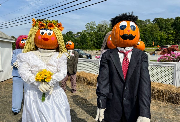 Photo of pumpkinseeds dressed as a bride and groom at Pumpkintown USA