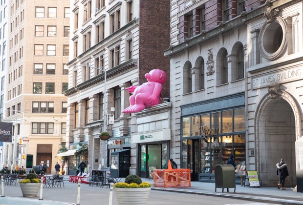 Mr Pink in the Flatiron: Mr. Pink looks out over Broadway