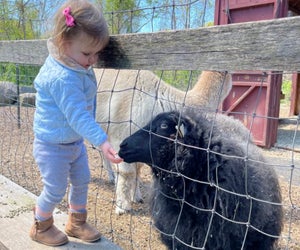 Snuggle up to these great activities for kids in CT this weekend. Photo courtesy of Wakeman Town Farm