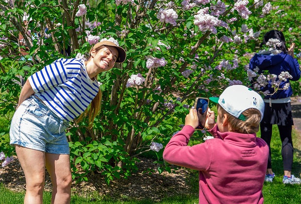 Image of Arnold Arboretum - Top Things To Do in Jamaica Plain