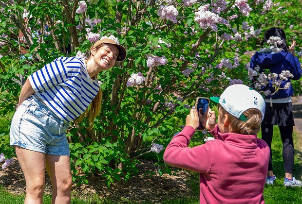 Image of Arnold Arboretum - Top Things To Do in Jamaica Plain