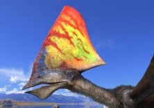 Tapejara in flight from IMAX Flying Monsters 3-D