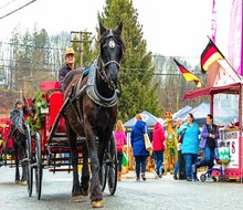 Tour the Sussex County Fairgrounds in horse-and-carriage during a visit to the German Christmas Market of New Jersey. 