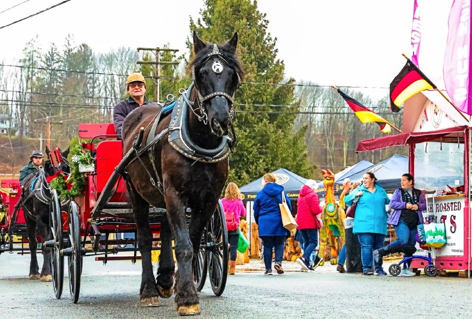 Tour the Sussex County Fairgrounds in horse-and-carriage during a visit to the German Christmas Market of New Jersey. 