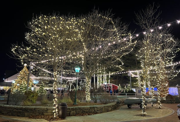 Image of L.L. Bean decorations - Christmas in Maine