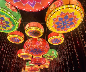 The Asian Lantern Festival at the Central Florida Zoo will light up your New Year's! Photo by author