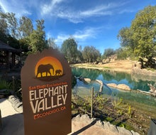 Welcome to Elephant Valley at the San Diego Zoo Safari Park!
