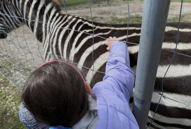 Budget birthday parties on Long Island: Long Island Game Farm