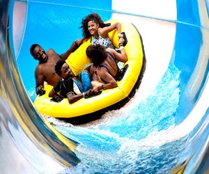 Enjoy a warm indoor water park get away. Photo courtesy of Great Wolf Lodge