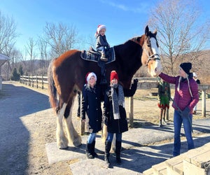 Climb aboard a Clydesdale at Willow Grove Farm's Christmas with the Clydesdales event. Photo courtesy of Willow Grove Farm facebook page