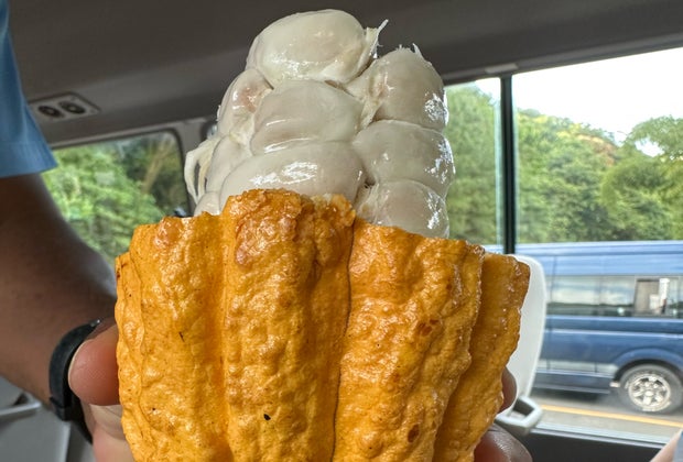 a raw cacao pod with slimy seeds you can suck on