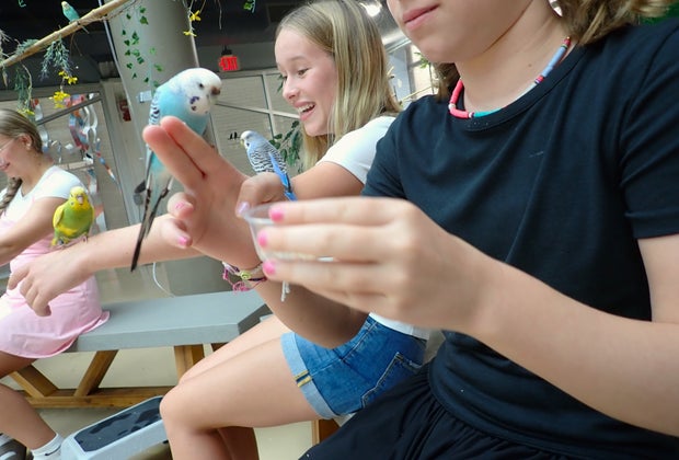 Roanoke with Kids: Science Museum of Western Virginia