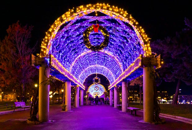 Image of Christopher Columbus Trellis - What's Open on Christmas Day 2025