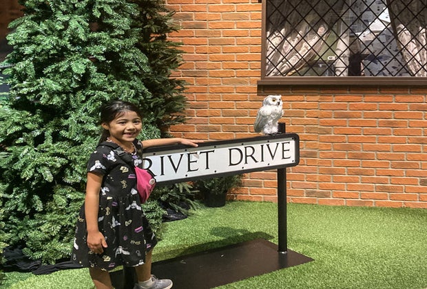 Harry Potter: Magic at Play, Chicago