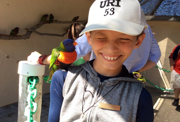 Lorikeet Encounter at Butterfly World, Florida