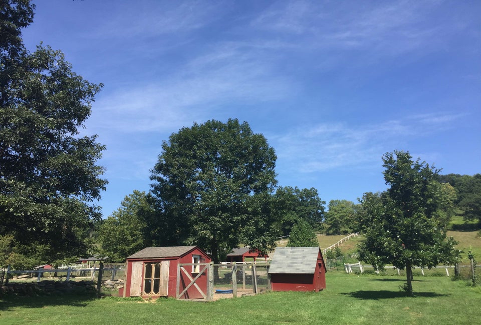 Set on 777 acres in Somers, Muscoot Farm is a sweet spot to visit with young children. Photo courtesy of the farm