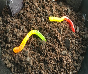Dirt Desserts usually involve chocolate and gummy worms. 