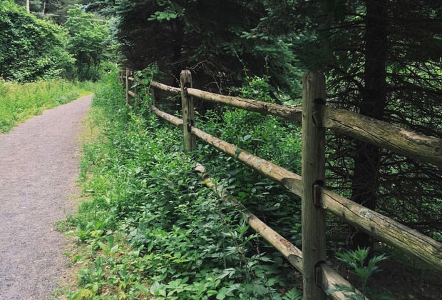 Image of stroller-friendly trail for hiking in Ridgefield, Connecticut