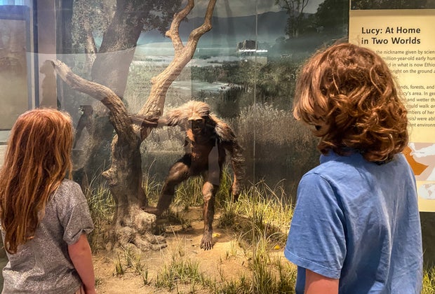 Visiting Smithsonian's National Museum of Natural History in DC with Kids Koch Hall of Human Origins