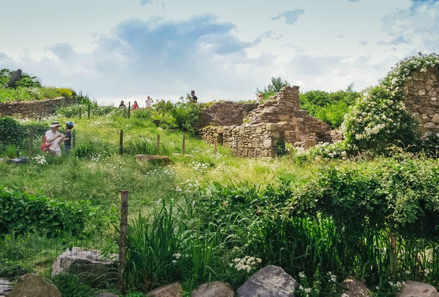 Things to do in Battery Park Irish Hunger Memorial