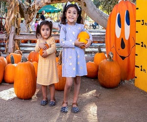 Hop on the train, pick a pumpkin, and play all day. Photo courtesy of the Irvine Park Railroad