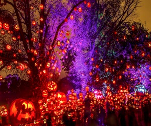 Rhode Island plays host to the Jack-O-Lantern Spectacular. Photo courtesy of Roger Williams  Park Zoo