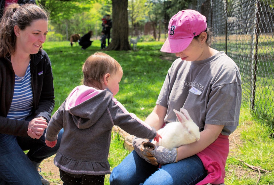 Natick Community Organic Farm's annual Spring Spectacular has lots of outdoor farm fun including meeting baby farm animals in the petting pasture. Photo by Kori Feener for NCOF
