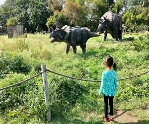 Romp with the triceratops and other dinos at Field Station: Dinosaurs in Leonia. Photo by Janet Bloom