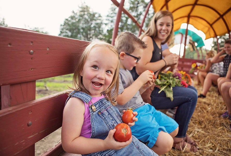 Photo courtesy of Johnson's Corner Farm 