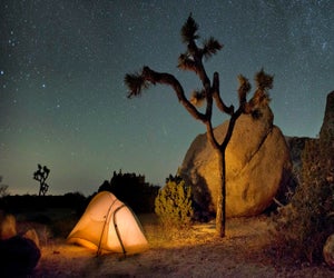 Camping at Joshua Tree National Park. Photo by Hannah Schwalbe/NPS 