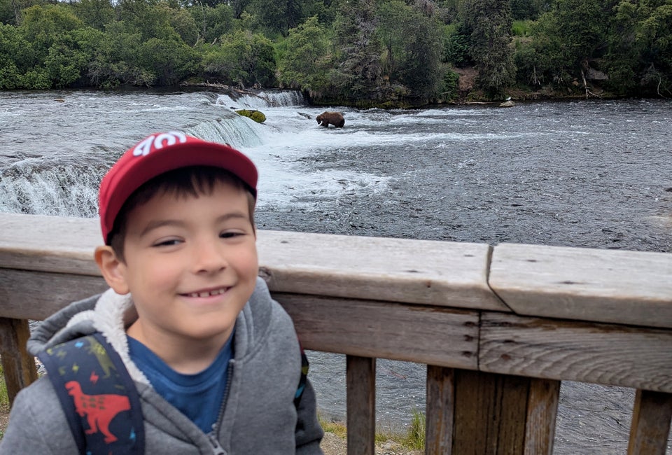 You'll see plenty of brown bears at Katmai National Park!