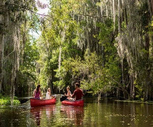 An eco-tour of Shingle Creek. Image courtesy the Grande Lakes Adventure Experiences