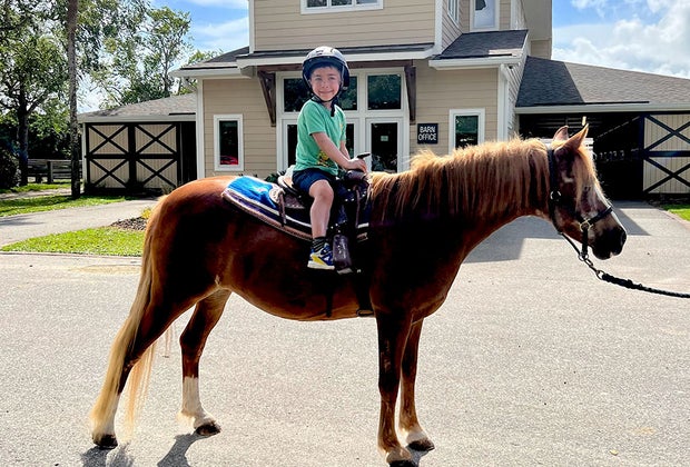 Equestrian Center — Seabrook Island: Kiawah Island with Kids: 40 Best Things To Do on Kiawah Island, SC