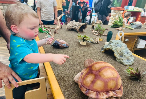 Kidspace Museum in Pasadena: The Nature Exchange