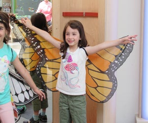 Celebrate butterflies. Photo courtesy of Kidspace Children’s Museum