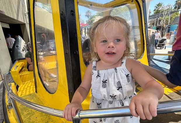 The Aquarium of the Pacific in Long Beach: What Makes LA's Biggest Aquarium So Spectacular