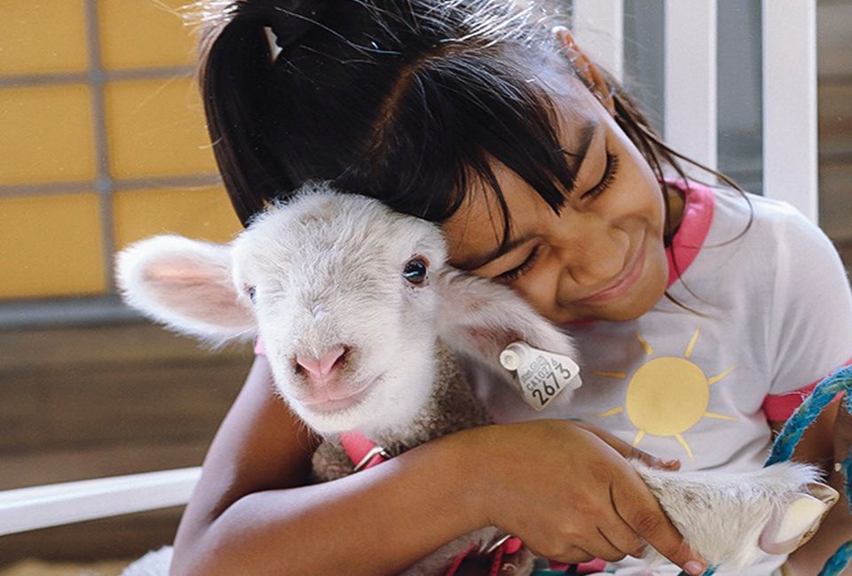 Snuggle up with a baby goat! Photo courtesy of the LA County Fair, Facebook