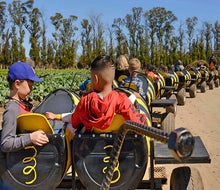 Underwood Farms buzzes with entertainment for all ages. Photo courtesy of the farm.
