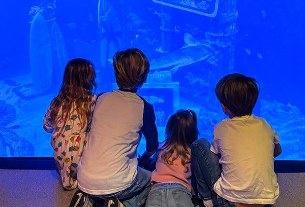 Why You Should Absolutely Stay on Property at Legoland beautifully designed aquariums on the property