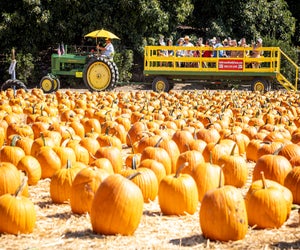 Photo courtesy of Underwood Family Farms