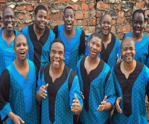 Listen to soulful harmonies at a Ladysmith Black Mambazo show.