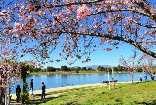 The Best Parks in LA Where Kids Can Run and Play: Lake Balboa Park